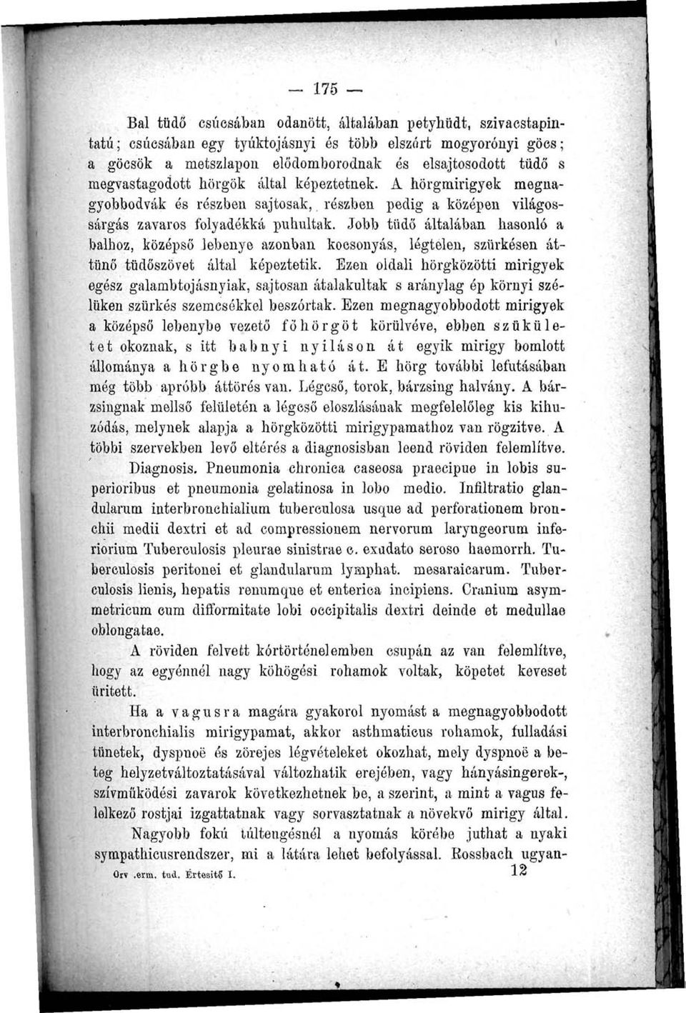 Jobb tüdő általában hasonló a balhoz, középső lebenye azonban ltocsonyás, Jégtelen, szürkésen áttünő tüdőszövet által képeztetik.