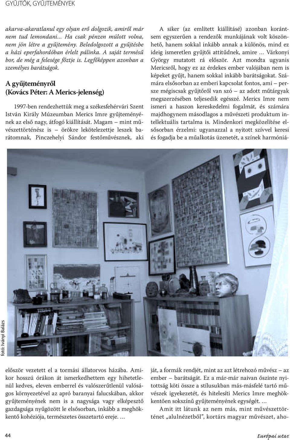 A gyűjteményről (Kovács Péter: A Merics-jelenség) 1997-ben rendezhettük meg a székesfehérvári Szent István Király Múzeumban Merics Imre gyűjteményének az első nagy, átfogó kiállítását.
