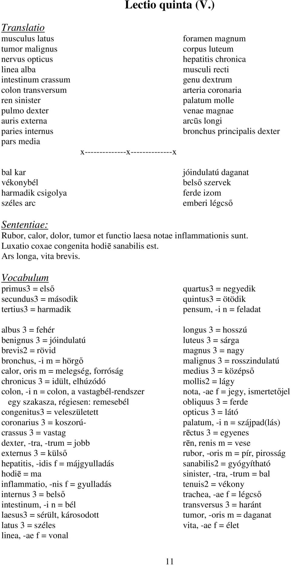 csigolya széles arc x--------------x--------------x foramen magnum corpus luteum hepatitis chronica musculi recti genu dextrum arteria coronaria palatum molle venae magnae arcūs longi bronchus