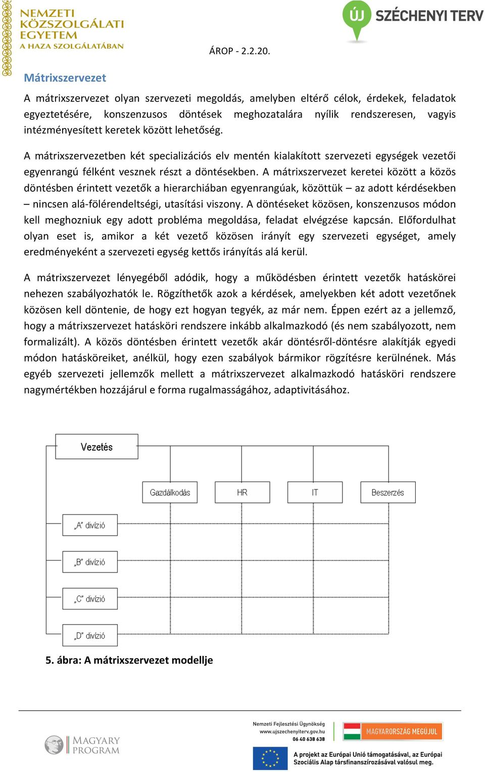 A mátrixszervezet keretei között a közös döntésben érintett vezetők a hierarchiában egyenrangúak, közöttük az adott kérdésekben nincsen alá- fölérendeltségi, utasítási viszony.