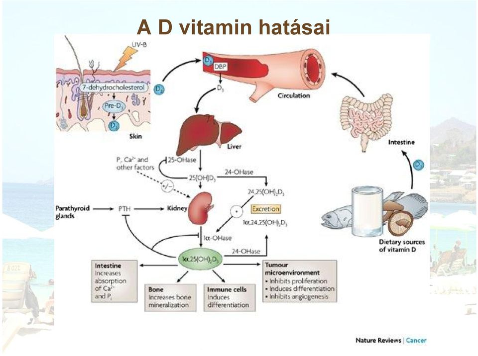 hatásai