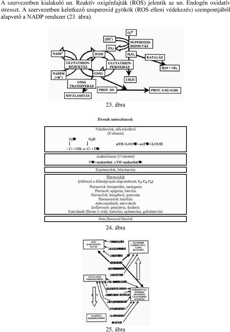 Endogén oxidatív stresszt.