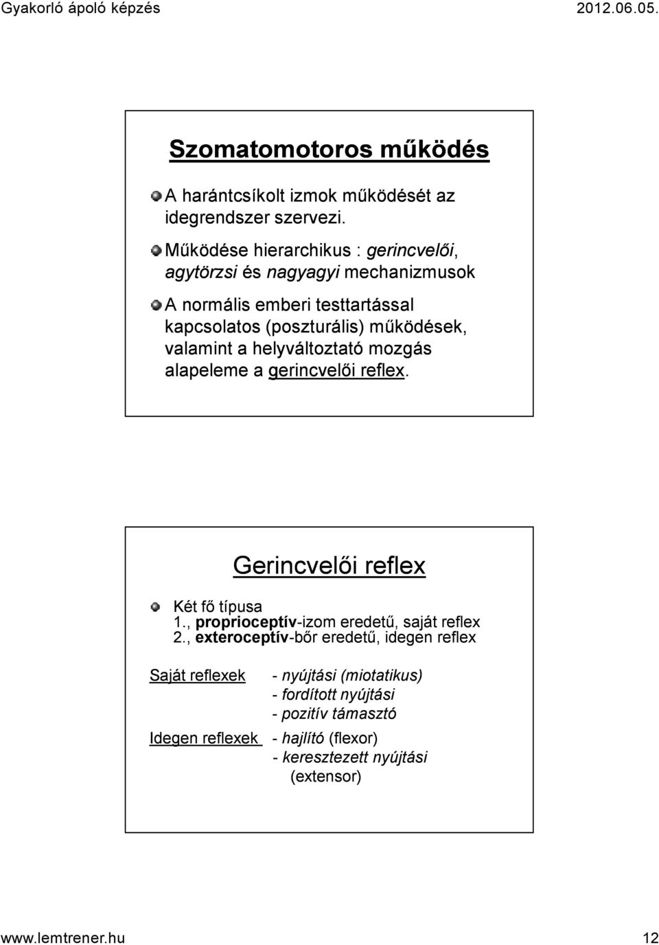valamint a helyváltoztató mozgás alapeleme a gerincvelői reflex. Gerincvelői reflex Két fő típusa 1.