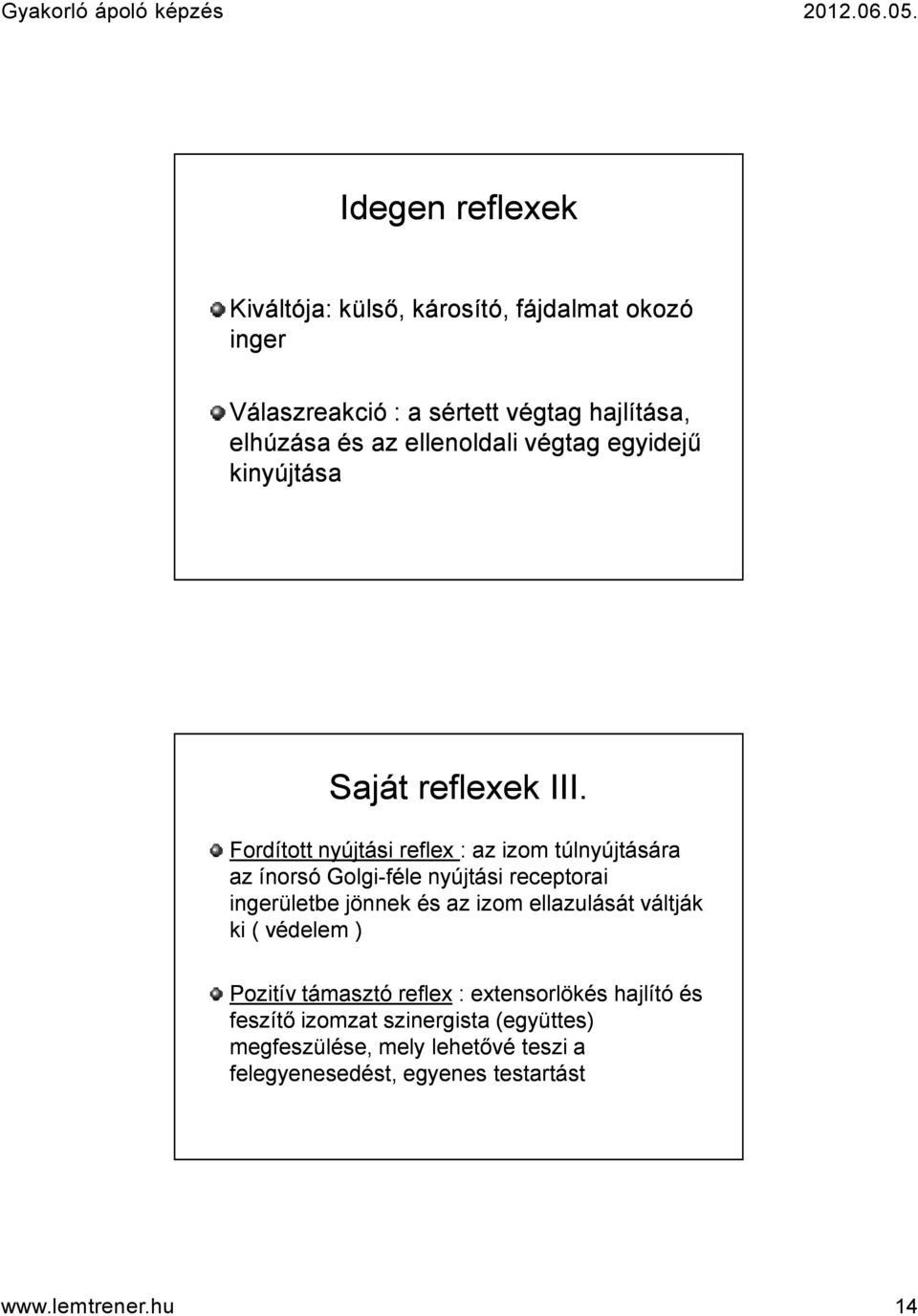 Fordított nyújtási reflex : az izom túlnyújtására az ínorsó Golgi-féle nyújtási receptorai ingerületbe jönnek és az izom