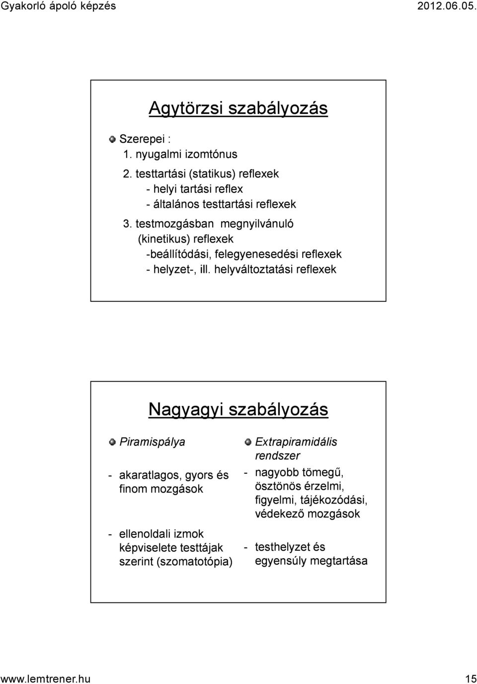 testmozgásban megnyilvánuló (kinetikus) reflexek -beállítódási, felegyenesedési reflexek - helyzet-, ill.
