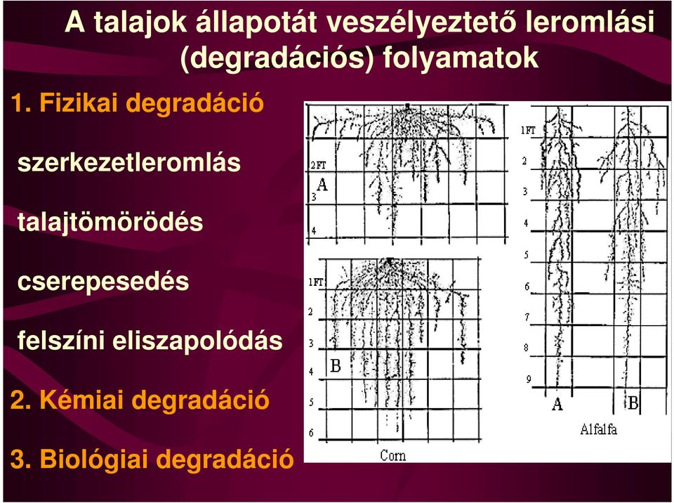 Fizikai degradáció szerkezetleromlás