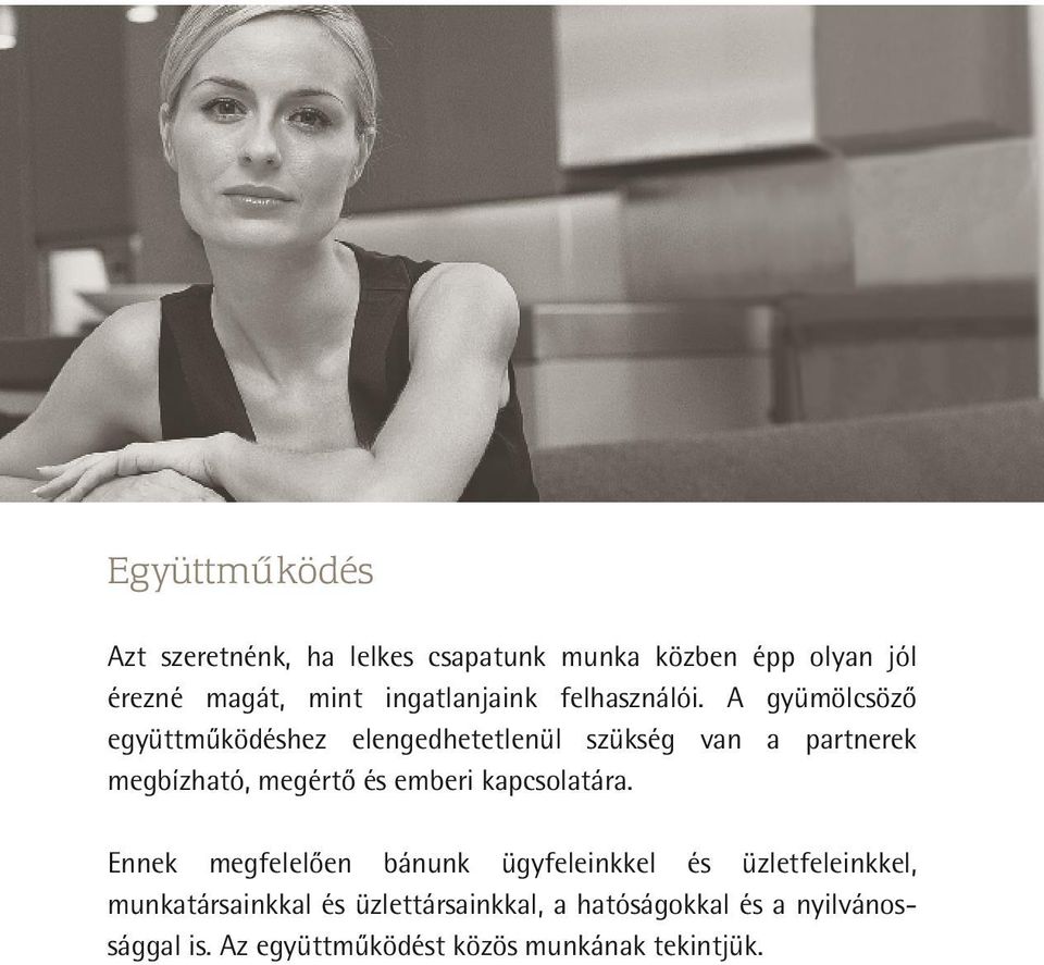 A gyümölcsöző együttműködéshez elengedhetetlenül szükség van a partnerek megbízható, megértő és emberi