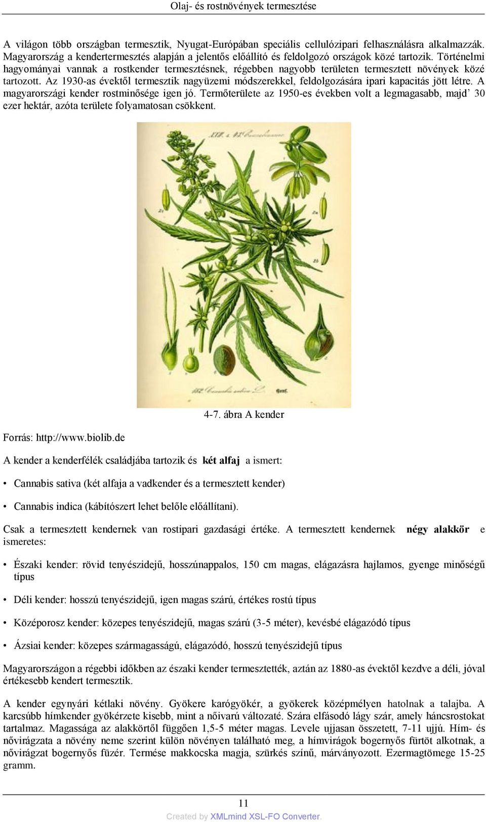 Növény- és állattani ismeretek 4. - PDF Ingyenes letöltés