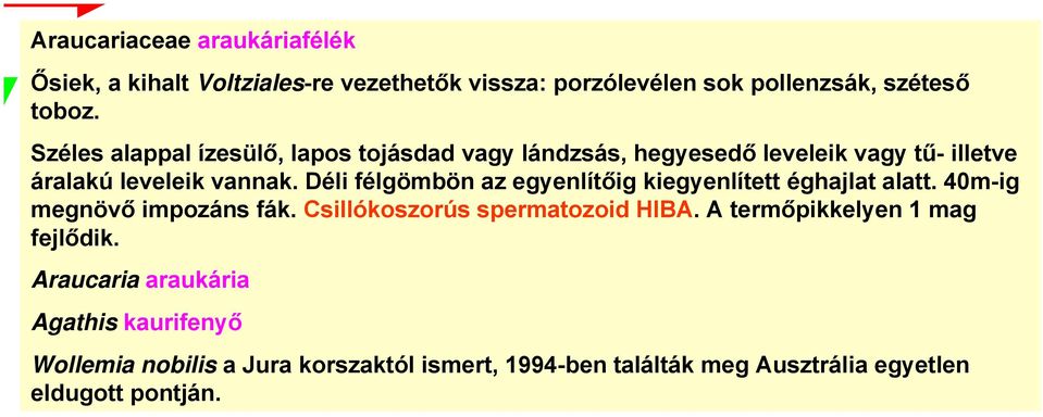 Déli félgömbön az egyenlítőig kiegyenlített éghajlat alatt. 40m-ig megnövő impozáns fák. Csillókoszorús spermatozoid HIBA.