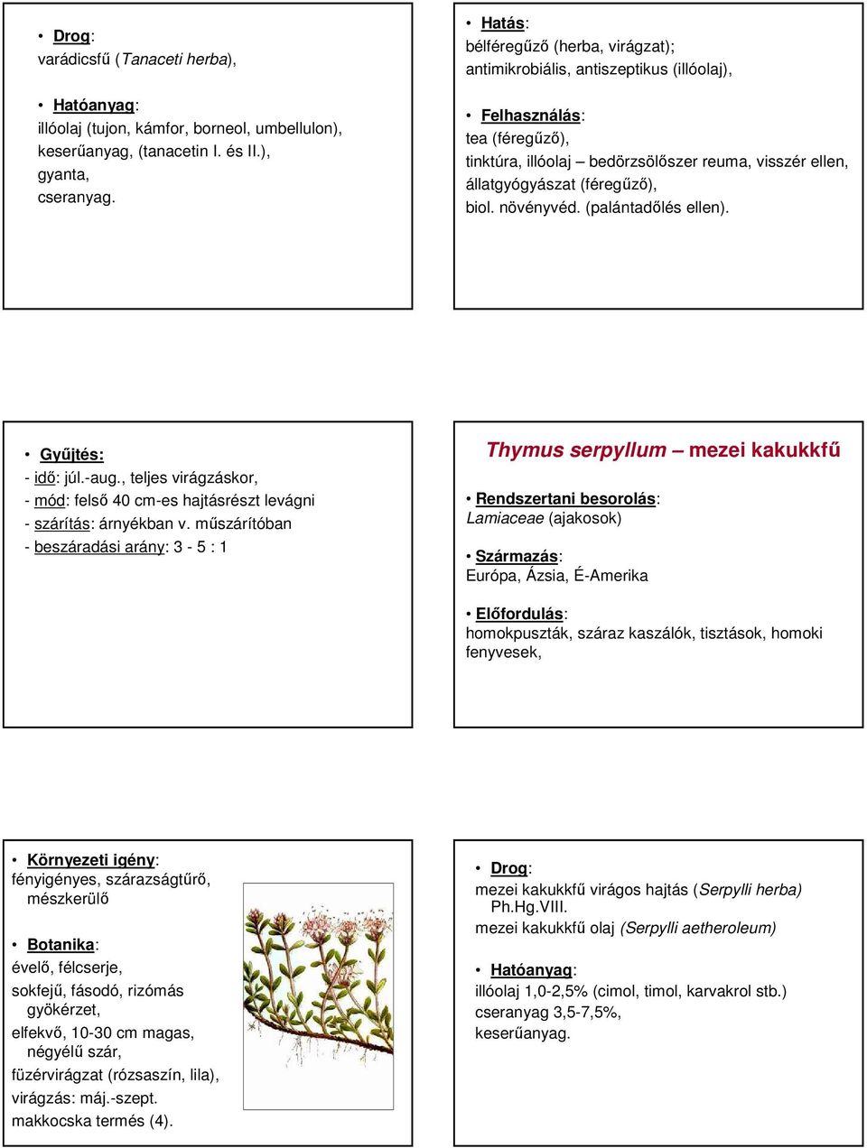 (palántadılés ellen). - idı: júl.-aug., teljes virágzáskor, - mód: felsı 40 cm-es hajtásrészt levágni - szárítás: árnyékban v.