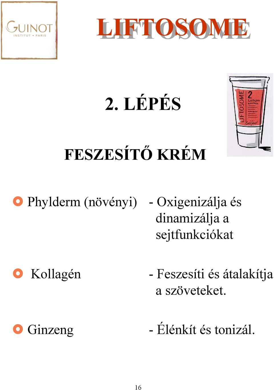 sejtfunkciókat Kollagén - Feszesíti és