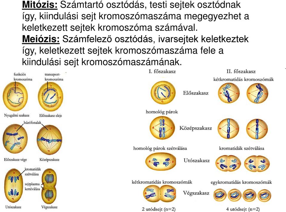 számával.