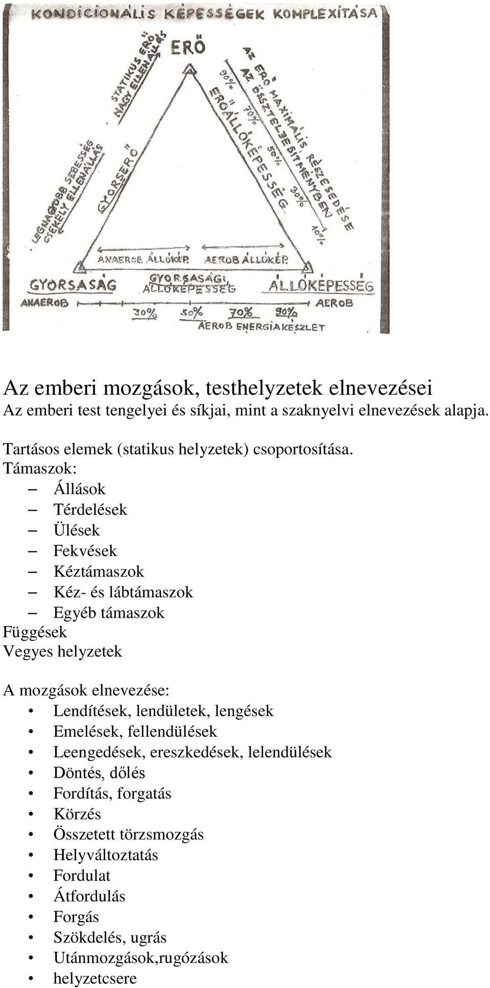 Támaszok: Állások Térdelések Ülések Fekvések Kéztámaszok Kéz- és lábtámaszok Egyéb támaszok Függések Vegyes helyzetek A mozgások elnevezése: