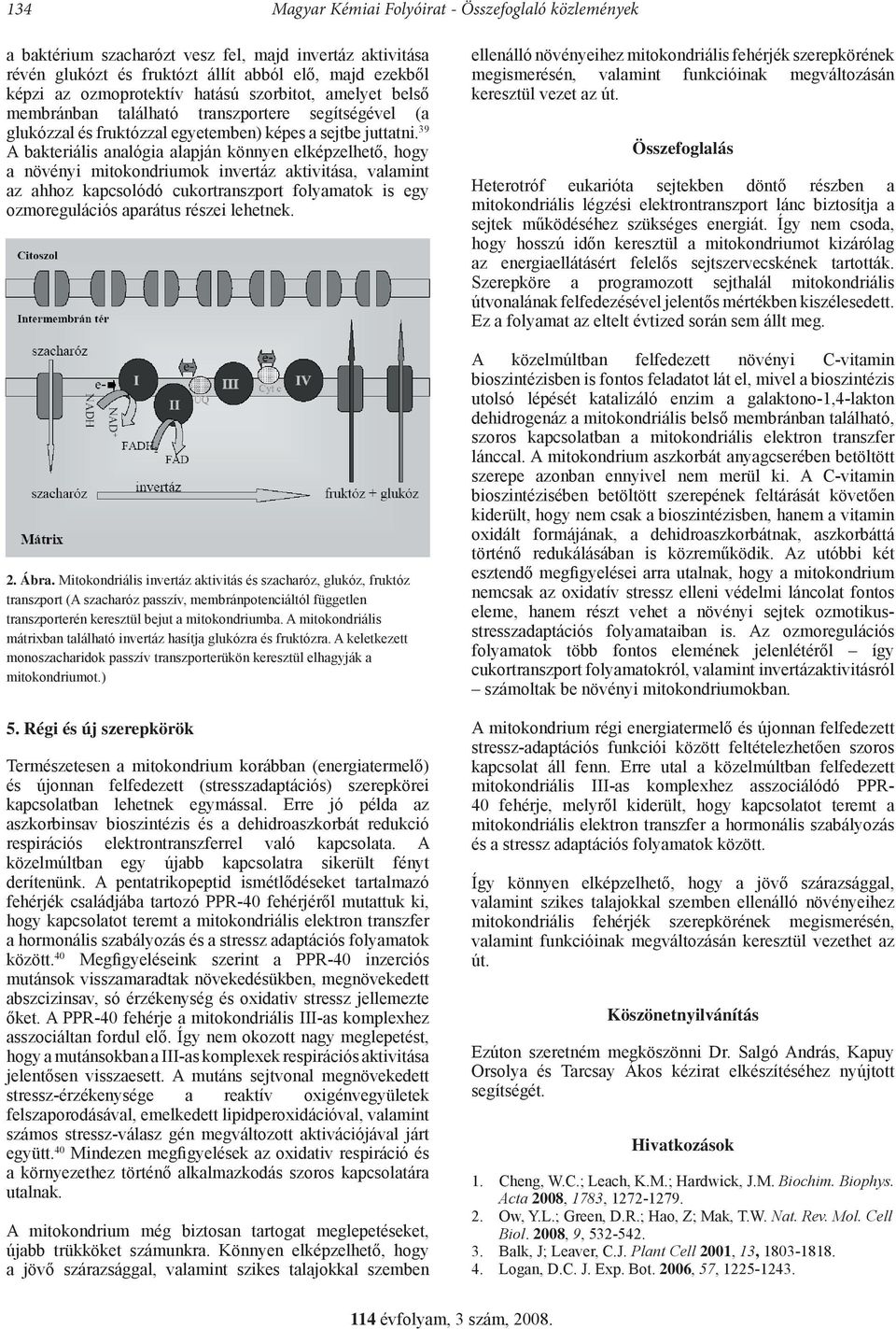 39 A bakteriális analógia alapján könnyen elképzelhető, hogy a növényi mitokondriumok invertáz aktivitása, valamint az ahhoz kapcsolódó cukortranszport folyamatok is egy ozmoregulációs aparátus