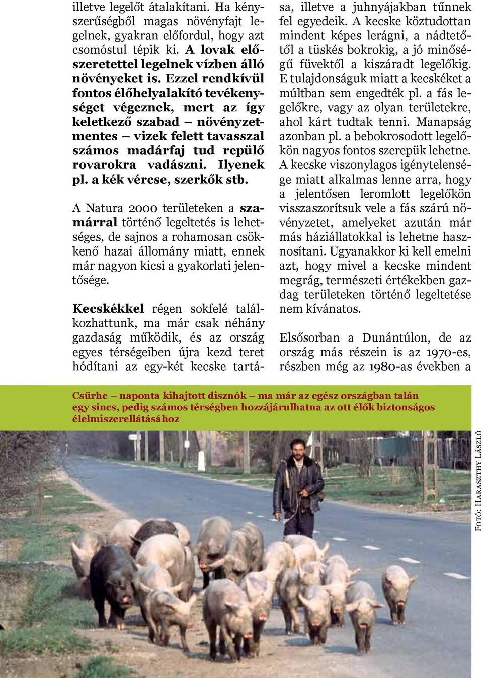a kék vércse, szerkők stb. A Natura 2000 területeken a szamárral történő legeltetés is lehetséges, de sajnos a rohamosan csökkenő hazai állomány miatt, ennek már nagyon kicsi a gyakorlati jelentősége.