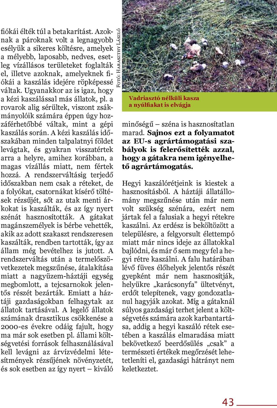 idejére röpképessé váltak. Ugyanakkor az is igaz, hogy a kézi kaszálással más állatok, pl.