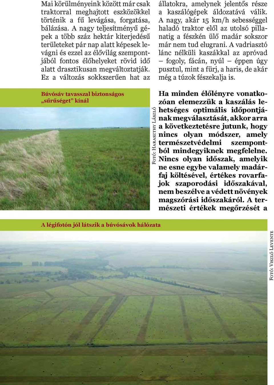 Ez a változás sokkszerűen hat az állatokra, amelynek jelentős része a kaszálógépek áldozatává válik.
