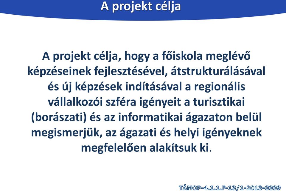 vállalkozói szféra igényeit a turisztikai (borászati) és az informatikai