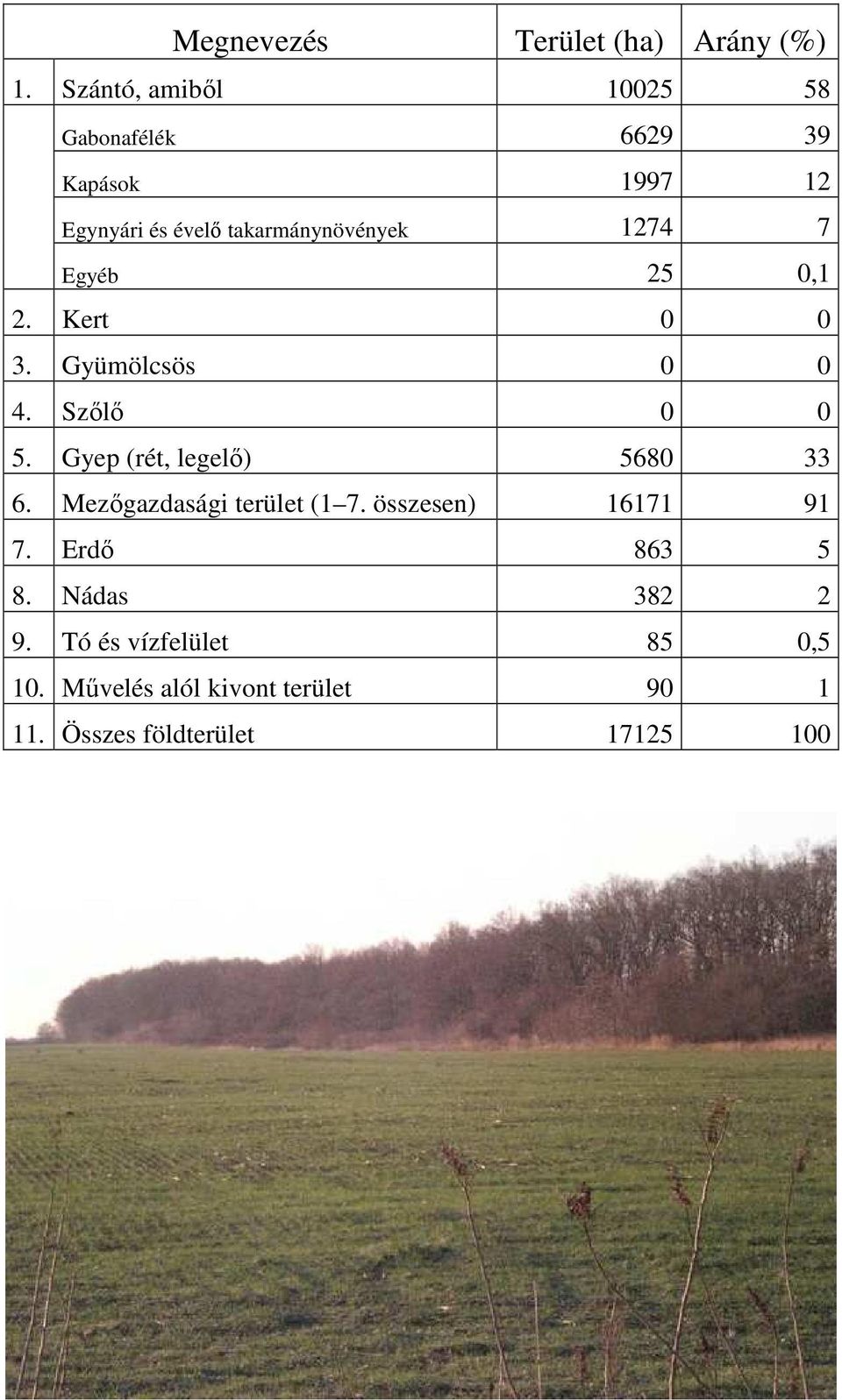 7 Egyéb 25 0,1 2. Kert 0 0 3. Gyümölcsös 0 0 4. Szőlő 0 0 5. Gyep (rét, legelő) 5680 33 6.