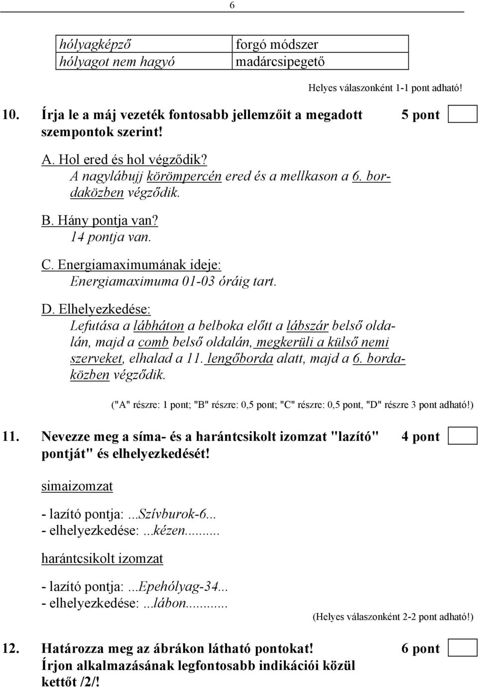 Elhelyezkedése: Lefutása a lábháton a belboka előtt a lábszár belső oldalán, majd a comb belső oldalán, megkerüli a külső nemi szerveket, elhalad a 11. lengőborda alatt, majd a 6.