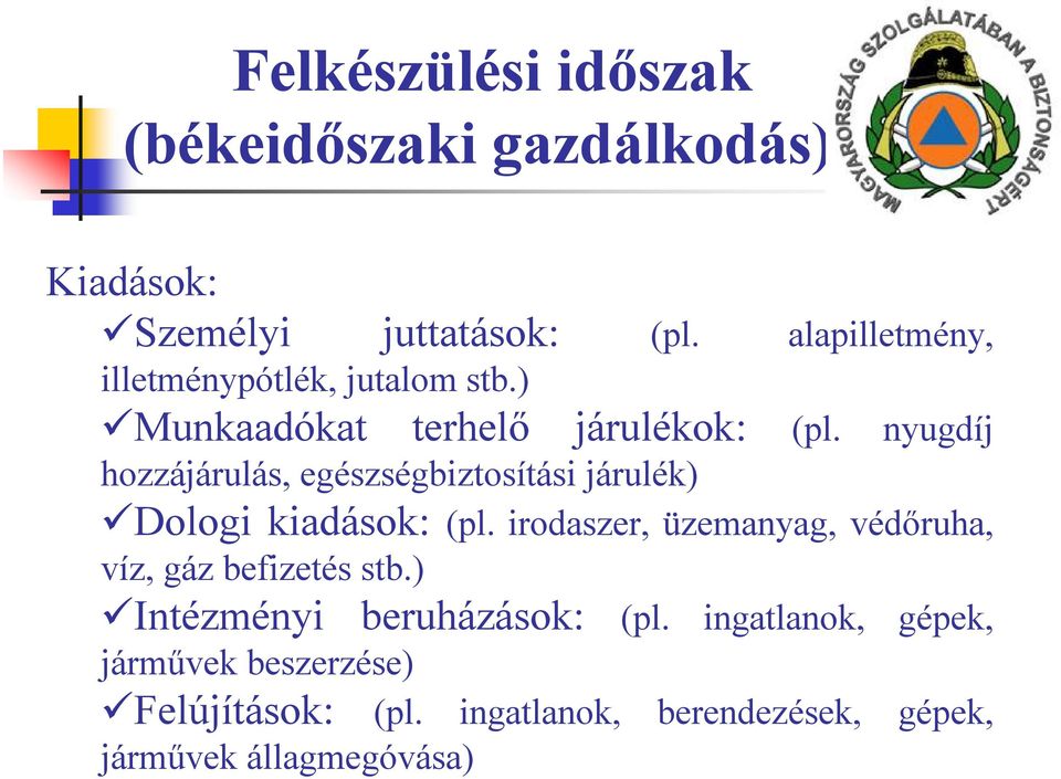 nyugdíj hozzájárulás, egészségbiztosítási járulék) Dologi kiadások: (pl.