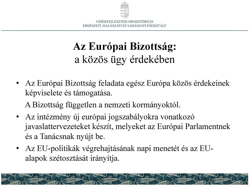 Az intézmény új európai jogszabályokra vonatkozó javaslattervezeteket készít, melyeket az Európai