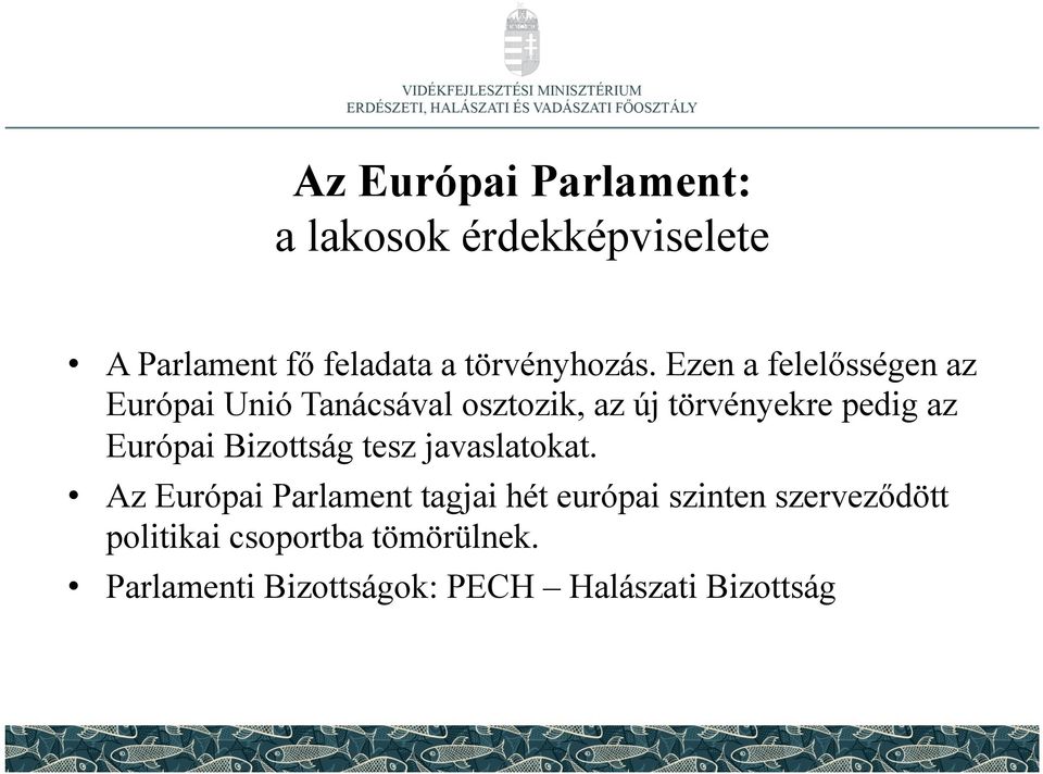 Európai Bizottság tesz javaslatokat.