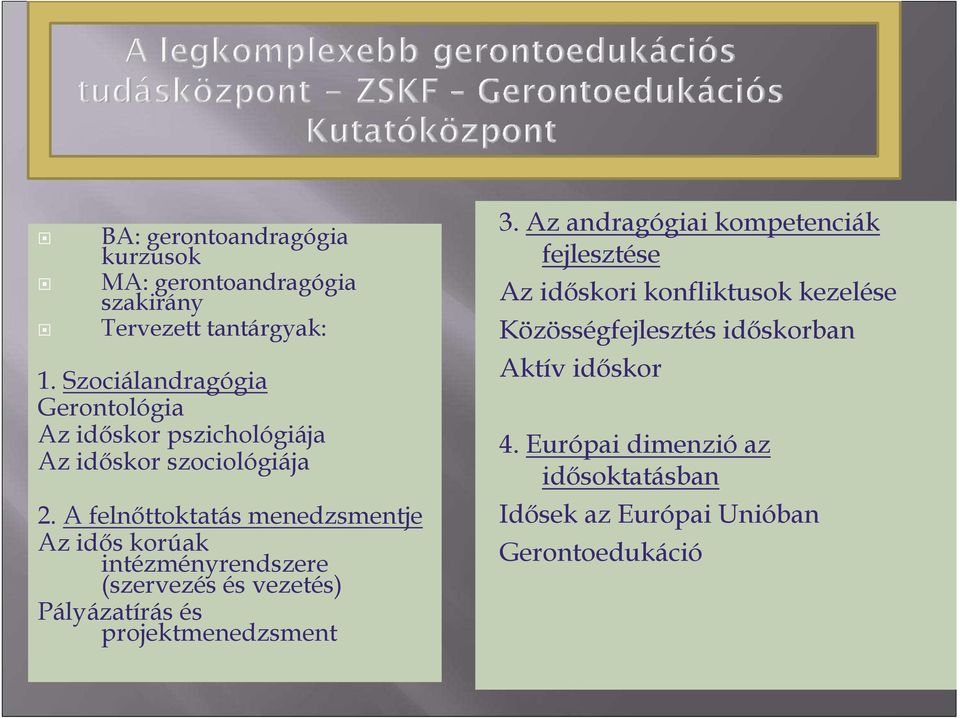 A felnıttoktatás menedzsmentje Az idıs korúak intézményrendszere (szervezés és vezetés) Pályázatírás és projektmenedzsment