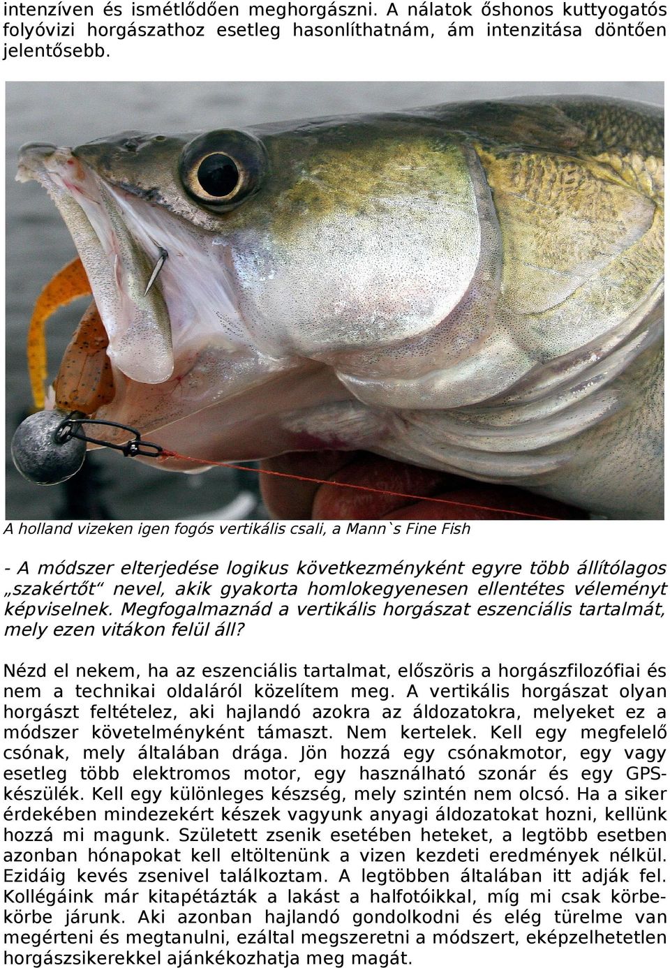 véleményt képviselnek. Megfogalmaznád a vertikális horgászat eszenciális tartalmát, mely ezen vitákon felül áll?