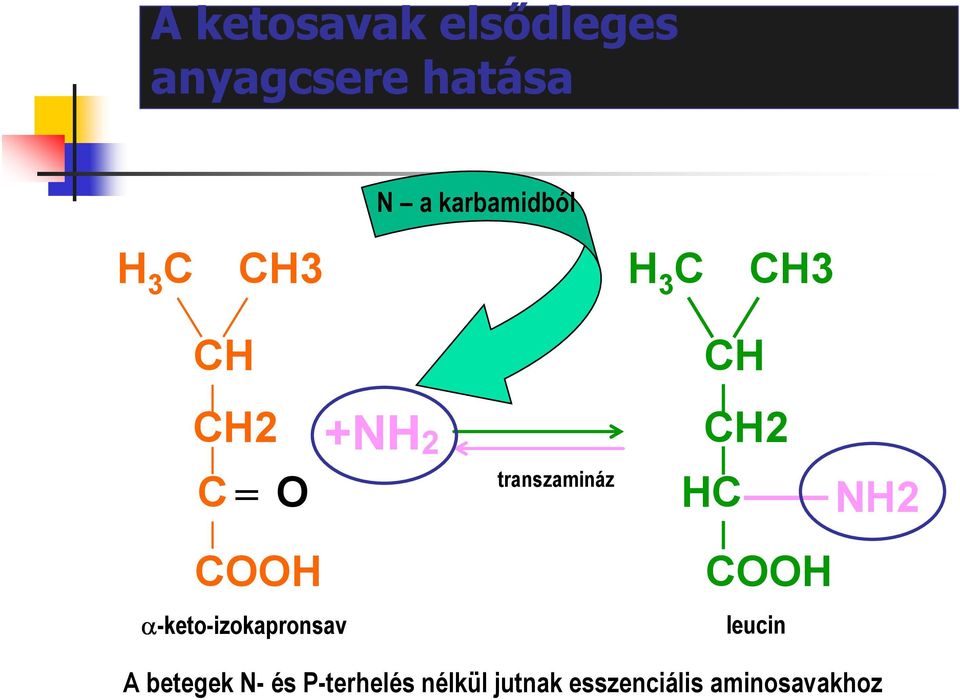 CH2 HC NH2 COOH α-keto-izokapronsav COOH leucin A