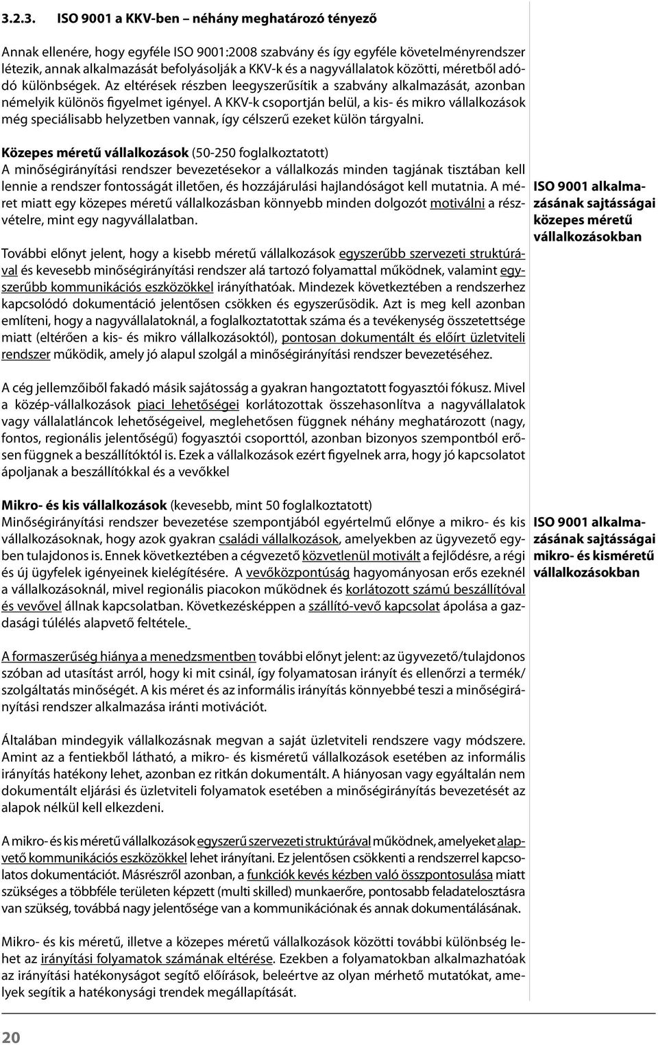 A KKVk csoportján belül, a kis és mikro vállalkozások még speciálisabb helyzetben vannak, így célszerű ezeket külön tárgyalni.