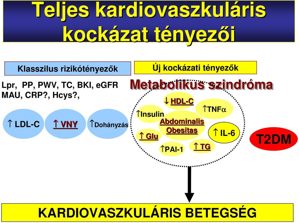 , LDL-C VNY Dohányzás Új kockázati tényezők Metabolikus szindróma