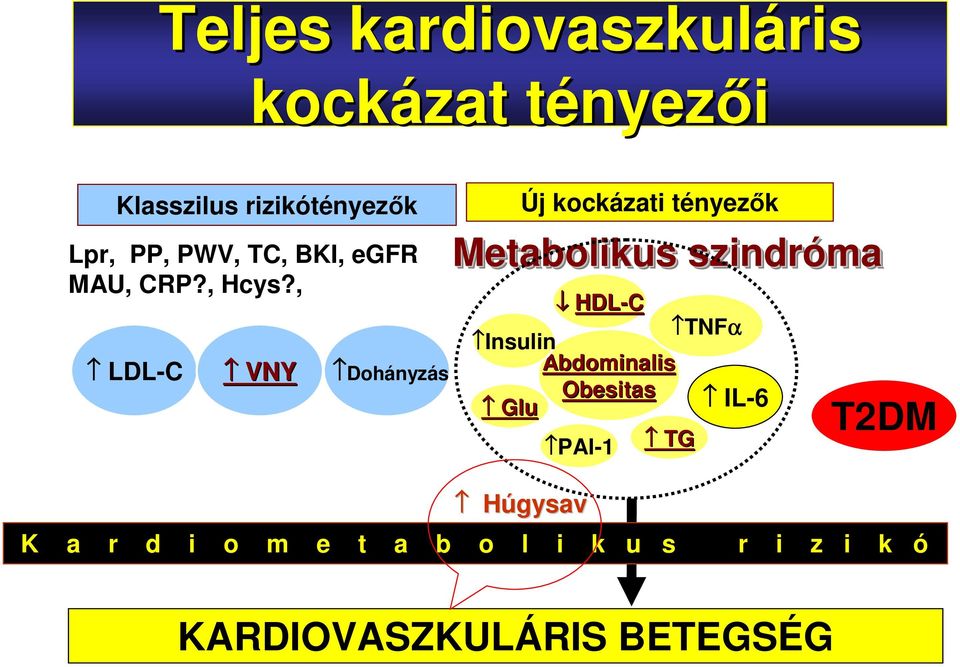 , LDL-C VNY Dohányzás Új kockázati tényezők Metabolikus szindróma HDL-C TNFα