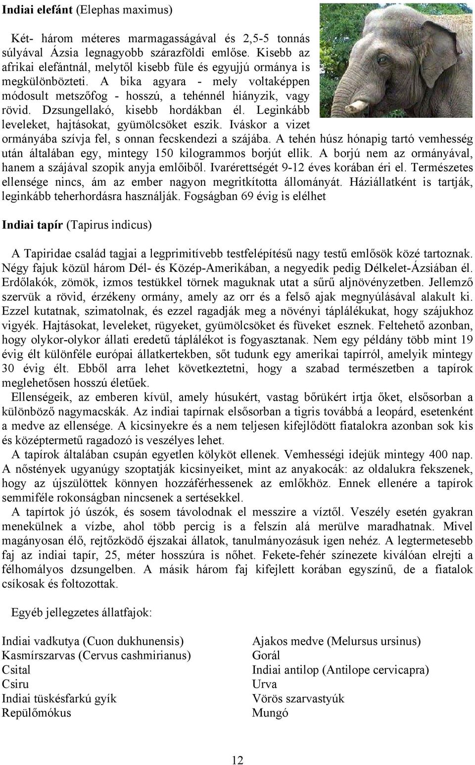 Dzsungellakó, kisebb hordákban él. Leginkább leveleket, hajtásokat, gyümölcsöket eszik. Iváskor a vizet ormányába szívja fel, s onnan fecskendezi a szájába.
