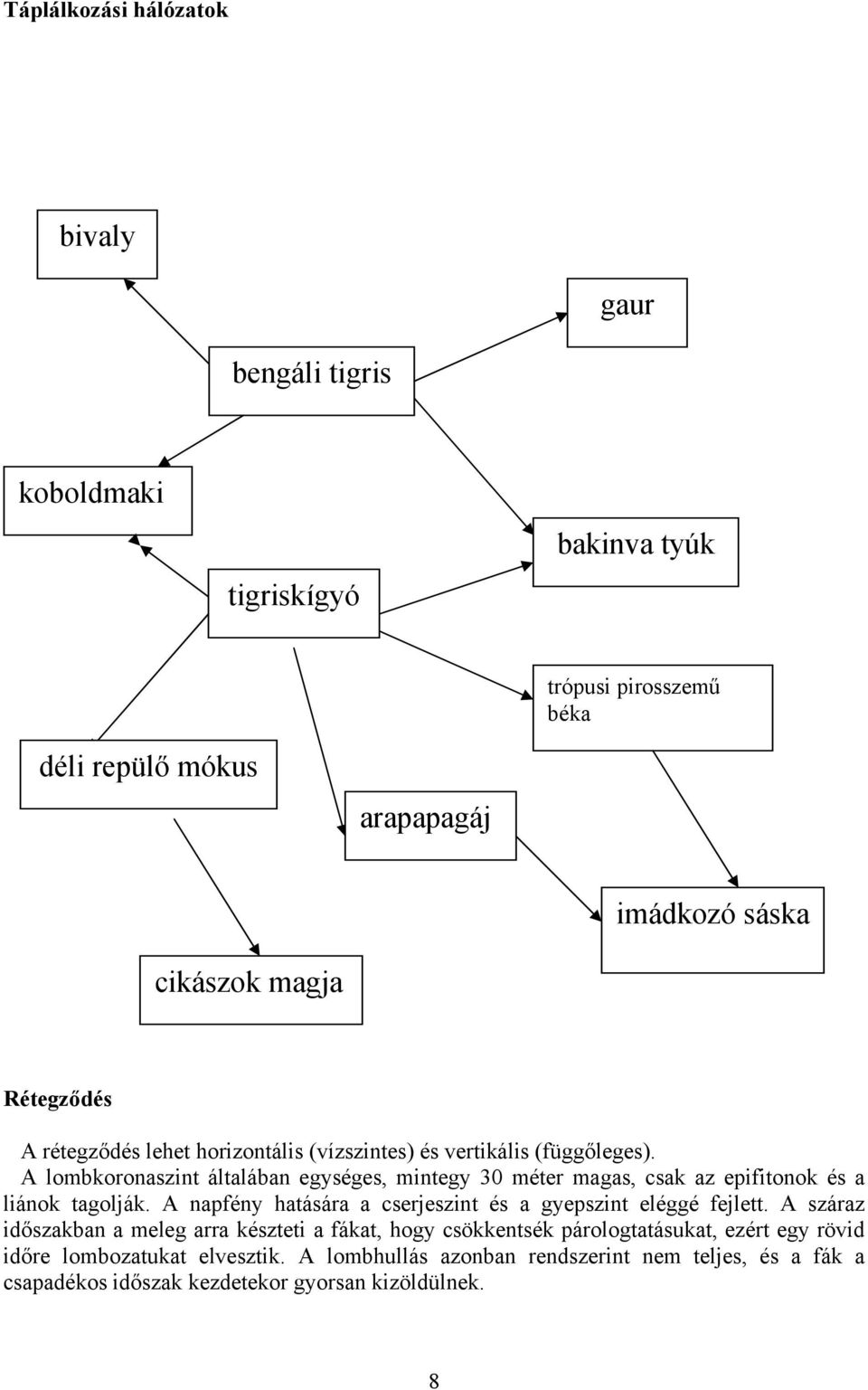 A lombkoronaszint általában egységes, mintegy 30 méter magas, csak az epifitonok és a liánok tagolják.