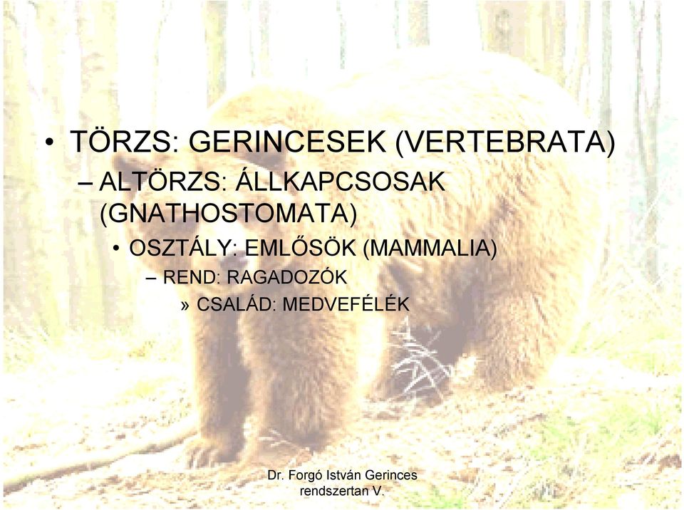 (GNATHOSTOMATA) OSZTÁLY: EMLŐSÖK