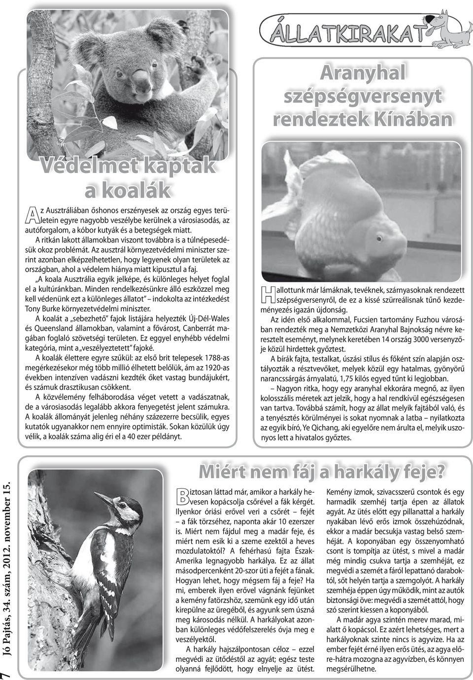 Az ausztrál környezetvédelmi miniszter szerint azonban elképzelhetetlen, hogy legyenek olyan területek az országban, ahol a védelem hiánya miatt kipusztul a faj.