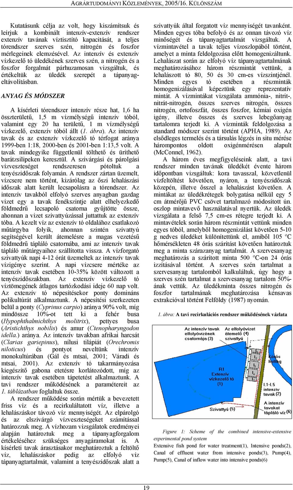 Az intenzív és extenzív vízkezelő tó üledékének szerves szén, a nitrogén és a foszfor forgalmát párhuzamosan vizsgáltuk, és értékeltük az üledék szerepét a tápanyageltávolításban.