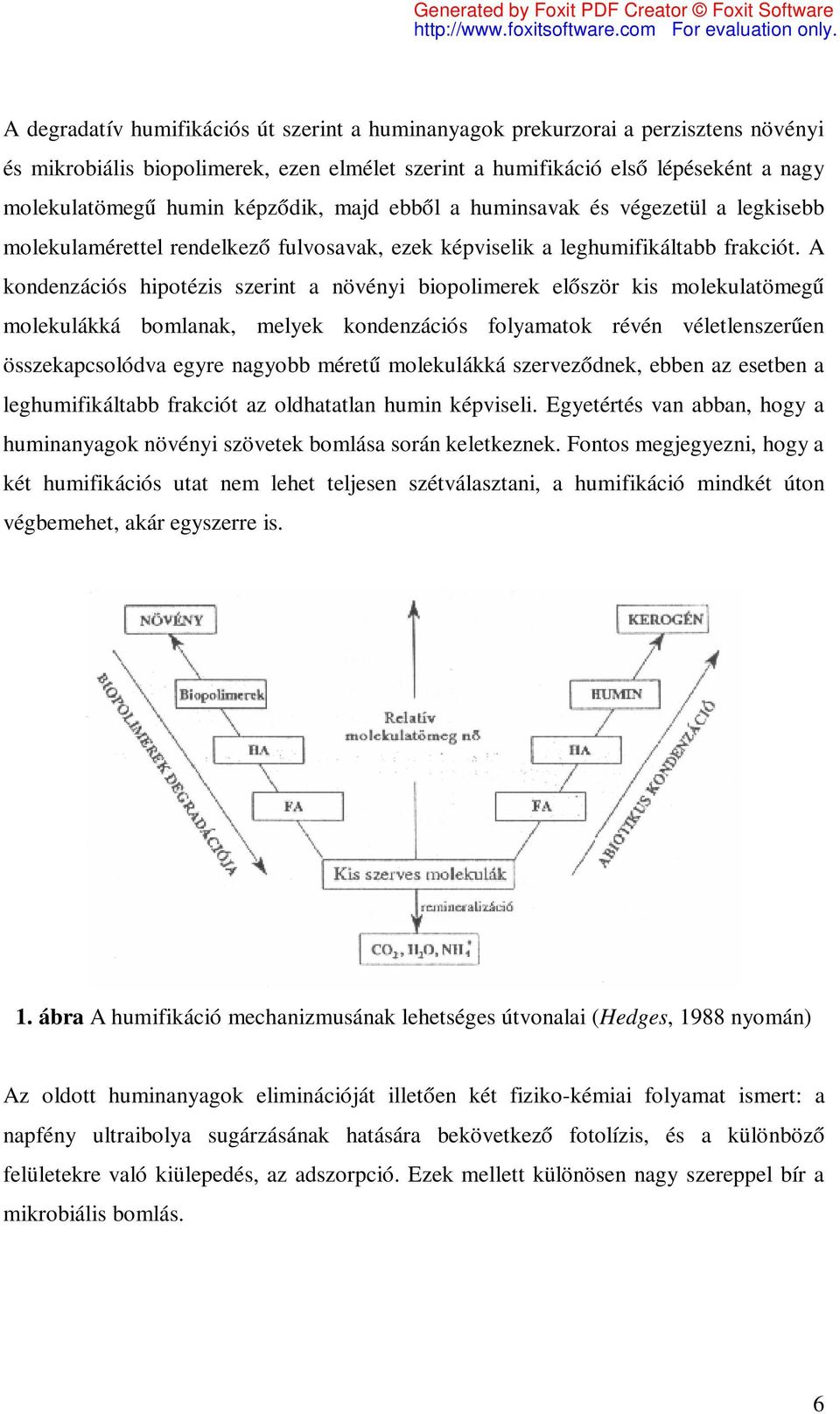 A kondenzációs hipotézis szerint a növényi biopolimerek először kis molekulatömegű molekulákká bomlanak, melyek kondenzációs folyamatok révén véletlenszerűen összekapcsolódva egyre nagyobb méretű