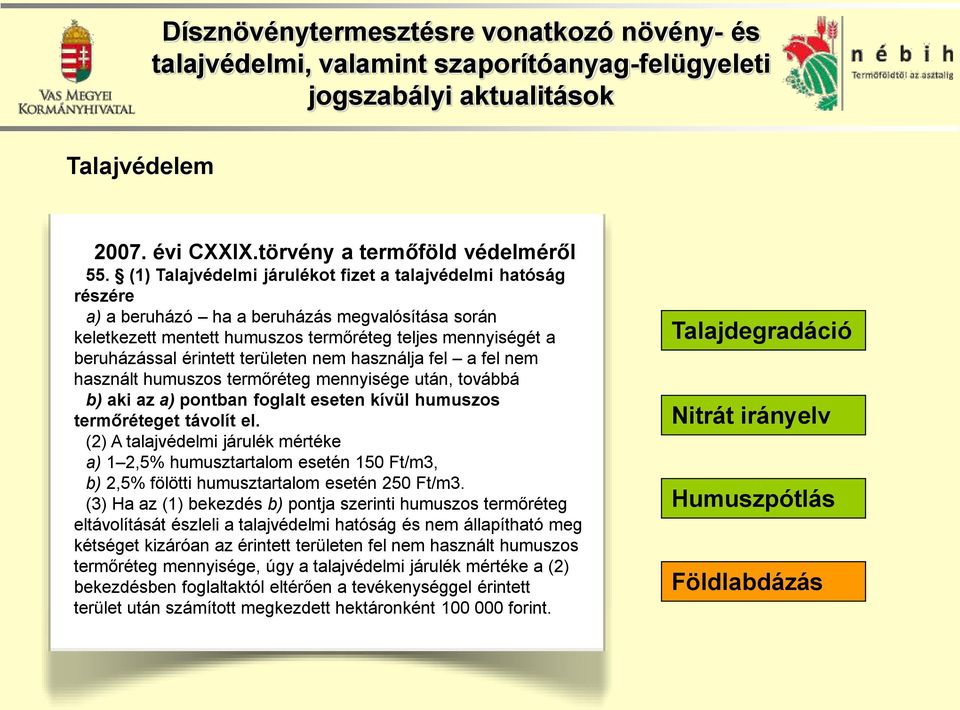 részére Számos anyagot tárol, szűr és átalakít, mint például a) a beruházó a vizet, a tápanyagokat ha a beruházás és megvalósítása a szenet.