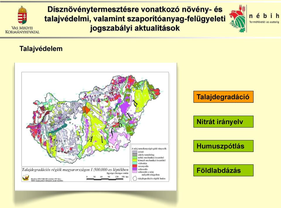 Nitrát irányelv