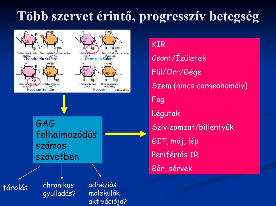 szövetben Légutak Szívizomzat/billentyűk GIT, máj, lép Perifériás