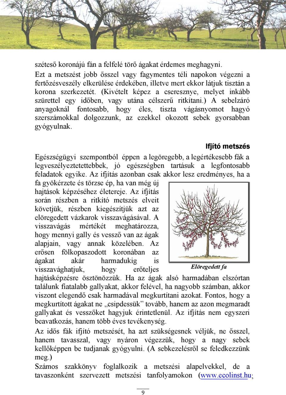 (Kivételt képez a cseresznye, melyet inkább szürettel egy időben, vagy utána célszerű ritkítani.