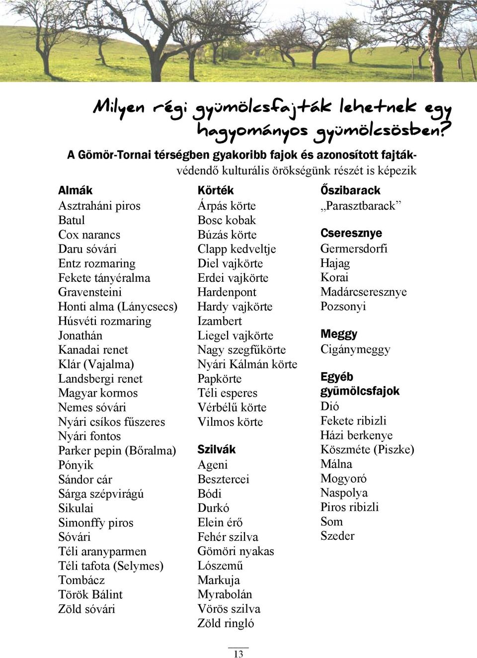 Gravensteini Honti alma (Lánycsecs) Húsvéti rozmaring Jonathán Kanadai renet Klár (Vajalma) Landsbergi renet Magyar kormos Nemes sóvári Nyári csíkos fűszeres Nyári fontos Parker pepin (Bőralma)