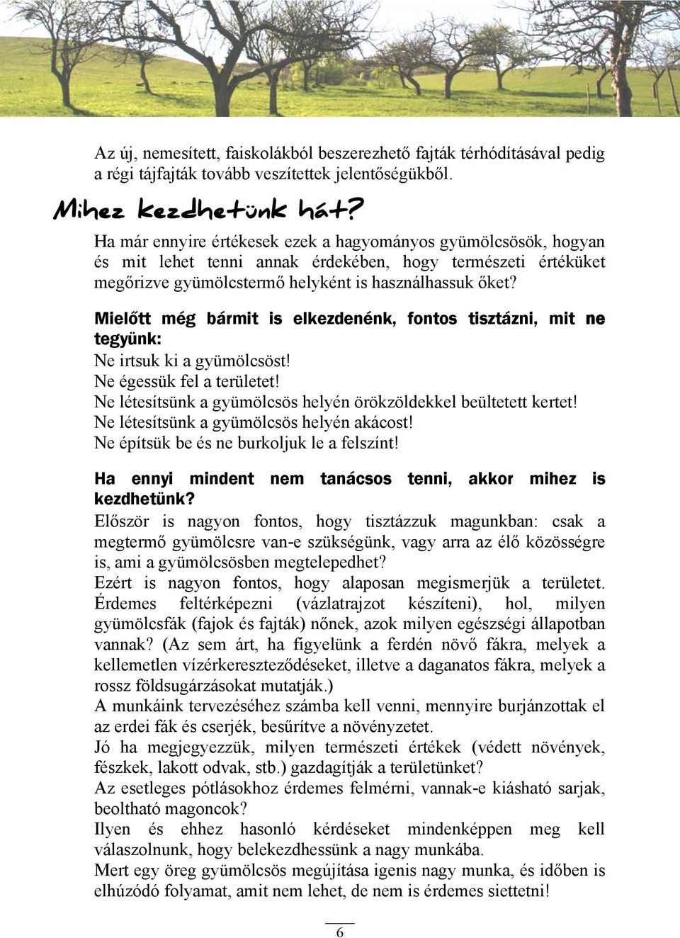 Mielőtt még bármit is elkezdenénk, fontos tisztázni, mit ne tegyünk: Ne irtsuk ki a gyümölcsöst! Ne égessük fel a területet! Ne létesítsünk a gyümölcsös helyén örökzöldekkel beültetett kertet!