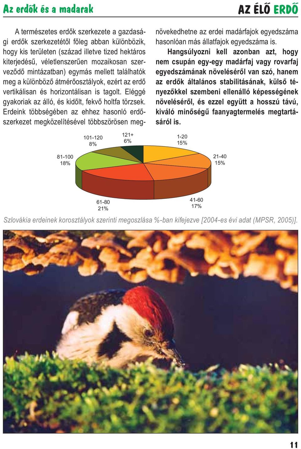 Eléggé gyakoriak az álló, és kidőlt, fekvő holtfa törzsek.