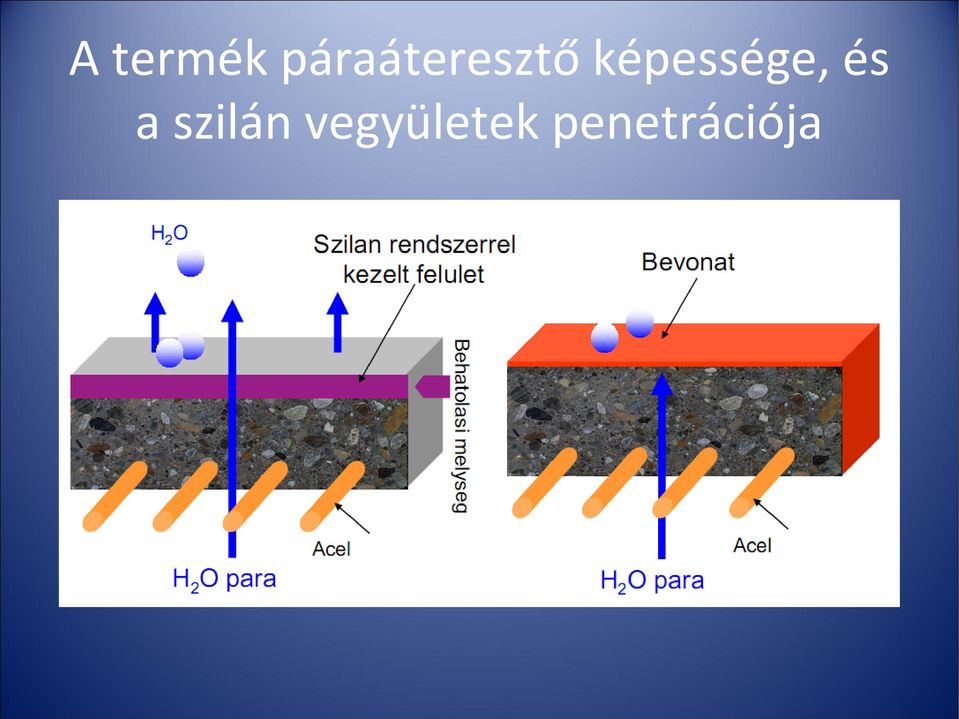 képessége, és a