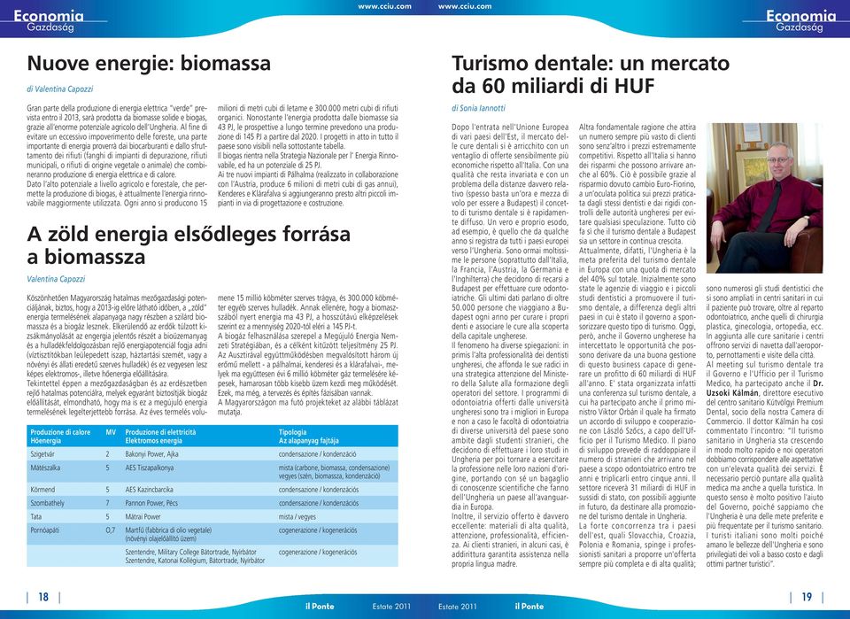 Al fine di evitare un eccessivo impoverimento delle foreste, una parte importante di energia proverrà dai biocarburanti e dallo sfruttamento dei rifiuti (fanghi di impianti di depurazione, rifiuti