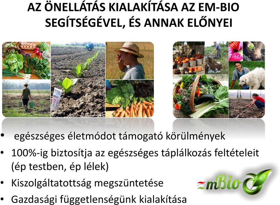 biztosítja az egészséges táplálkozás feltételeit (ép testben, ép