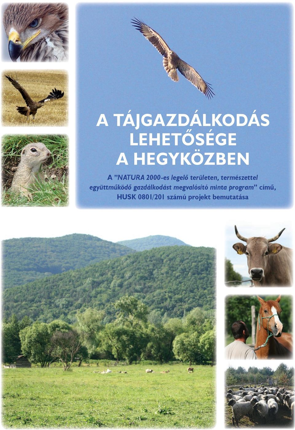 együttműködő gazdálkodást megvalósító minta